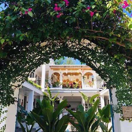 Coto Island Beach Village Homestay Đảo Cô Tô Esterno foto