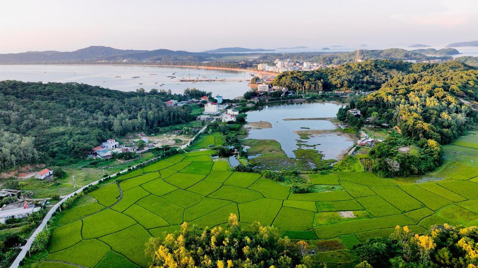 Coto Island Beach Village Homestay Đảo Cô Tô Esterno foto